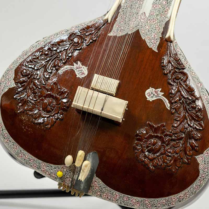 Zoom of the flower details on Ravi Shankar's sitar.